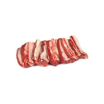 Top quality frozen beef ribs available for large volume export and wholesale orders - MT Trading GmbH - Germany