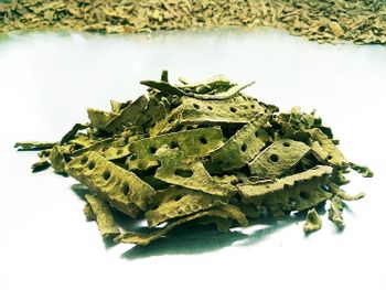 Prime Green Propolis Form Powder Shelf Life 3 years Propolis Type Green Propolis Packaging dubble wall cardbox Specification more than 5% of artepellin C - ApisTech Produtos da Natureza LTDA - Brazil