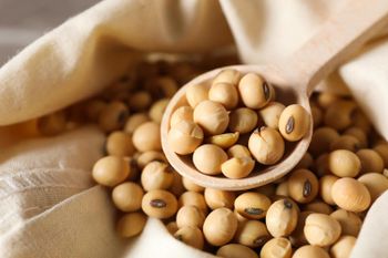 Fresh Soybeans Clean Dry Beans With High Nutrition Value Buy Fast Delivery Premium Quality Wholesale Naturally Natural Nutrition And Clean Processing Buy Fast Delivery Premium Quality Wholesale Naturally Suitable For Industry - wood traders - Poland