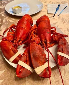 High Quality Frozen American Lobster Tails Whole Live Fresh Condition Box Packaging 4.54kg 24 Months Shelf Life from TRADECENTRIC LLC High Quality Frozen American Lobster Tails Whole Live Fresh Condition Box Packaging 4.54kg 24 Months Shelf Life - TRADECENTRIC LLC - United States
