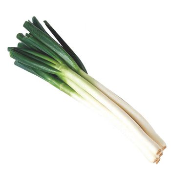 Long Shape China Fresh Scallions in Bulk Wholesale Green Shallot Export to Singapore - Qingdao Smiler Import And Export Co., Ltd. - China