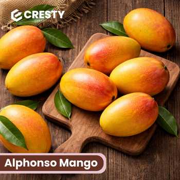 Alphonso Mango - Cresty Ventures - India