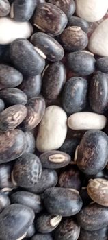 Volvet beans and other types of beans, millet, sogham - Busia Produce dealers multipurpose co-operative society limited - Uganda