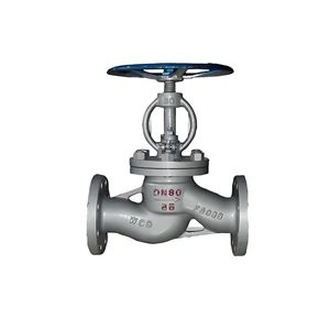 Customizable Stainless Steel Worm Gear Flange with Warranty - Nanjing Zhongxun Pipeline Equipment Co., Ltd - China