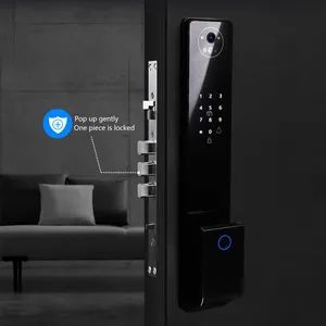 Bingoelec Waterproof Brazil Smart Security Digital Door Lock Facial Recognition Tuya WiFi Door Locks - Yiwu Binge Electrical Co., Ltd. - China