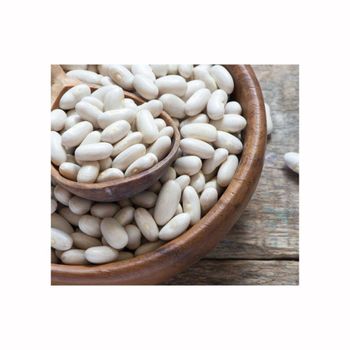 Bulk supply of white kidney beans ready for global distribution - Starmark Company Limited - Tanzania