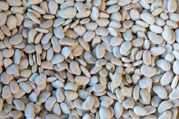 Wholesale Price Supplier of Large Lima Beans Bulk Stock With Fast Shipping Wholesale Supplier of Bulk Fresh Stock of Lar from TRADECENTRIC LLC Wholesale Price Supplier of Large Lima Beans Bulk Stock With Fast Shipping Wholesale Supplier of Bulk Fresh Stock of Lar - TRADECENTRIC LLC - United States