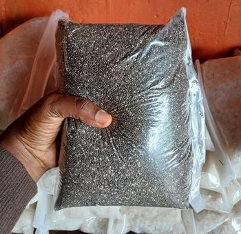 Premium Chia Seeds – High in Omega-3, Fiber & Protein | Natural Superfood for Health & Nutrition - THE GREEN INTERNATIONAL LIMITED - Tanzania