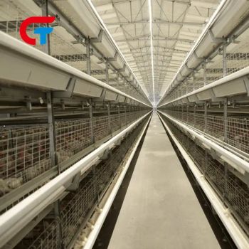 2024 New Chicken Farming Poultry Equipment Quail Cage for Sell - Wulian Changtai Intelligent Technology Co.. Ltd. - China