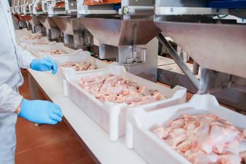 Frozen Meat Beef 100% High-Quality Halal Beef - Smart Agri GmbH - Germany