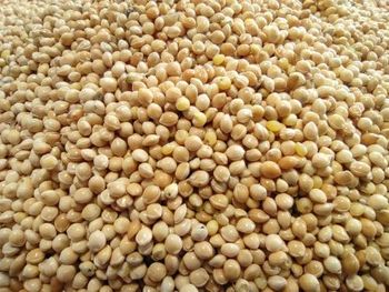 Millet – product photo, Millet products found from trusted suppliers, wholesalers, manufacturers & exporters Listing