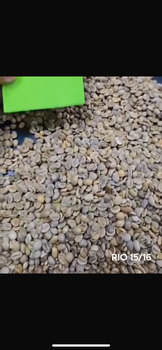 Brazilian Green Coffee Beans Arabica Rio Minas 15/16 & 17/18, Fine Cup, Good Cup, Specialty Coffee 84+ and Robusta Conil - Exicon - Global