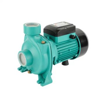 Large Flow Single Stage Clean Water Pump Double Impellers Centrifugal Pump - Zhejiang Lingxin Electromotor Co., Ltd. - China