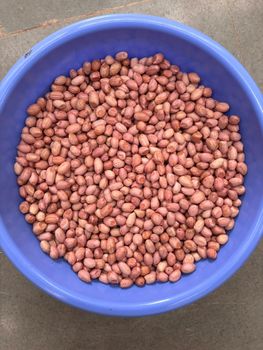 Peanut TJ 80/90 50/60 - Gokul Seeds Corportaion - India
