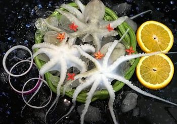 Frozen Octopus - Hup Sun Marine Products - Malaysia