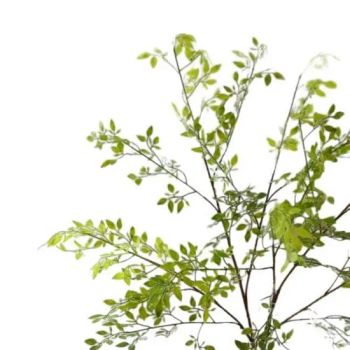 Wholesale Green Plant Stems Set Realistic Nandina Branch Artificial Plants Greenery Home Decor - GOOD SELLER CO., LTD - China
