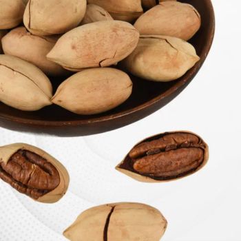 Hot Sales Nutritious and Healthy Pecan Nut Origin China Nut Pecan Nut Processing Raw Pecan Pecan Nut Trademark SUNCAMRY Model NO. Pecan Nut - Hangzhou Suncamry Agricultural Development Co., Ltd. - China