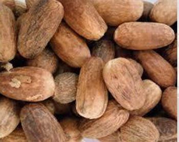 Nutmeg Peeled Premium from CV. Sekawan Cipta Dinar Nutmeg Peeled Premium - CV. Sekawan Cipta Dinar - Indonesia