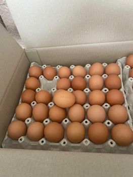CHICKEN EGGS - SOMEXPORT ROBERT PETITJEAN - France