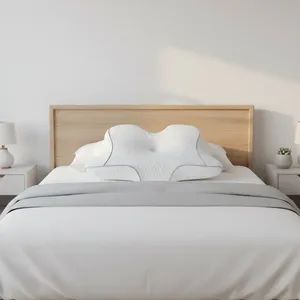 Memory Foam Pillows Neck Pillow Queen Size Bed for Sleeping Ergonomic - Shenzhen Taineng Jikang Technology Co., Ltd - China