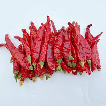 Premium Cayenne Pepper Powder With High Capsaicin Content For Seasoning Blends Food Service And Ingredient Supply - TOSOH INTERNATIONAL - South Africa