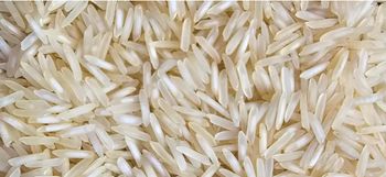 1121 Steam Basmati Rice Origin Asia Features Organic Product Type Rice - Elite Global General Trading FZC LLC - United Arab Emirates