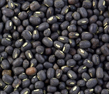 Organic split black urad dal from BS International Organic split black urad dal - BS International - India