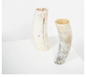 100% Real horn flower vase exclusive design 2 piece office and table decorate modern look horn flower vase - HADIYA NOOR HANDICRAFTS - India