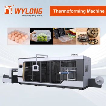 Plastic Processing Thermoforming Machines for Make Plastic Cake Food Box - Zhejiang Wylong Machinery Co., Ltd. - China