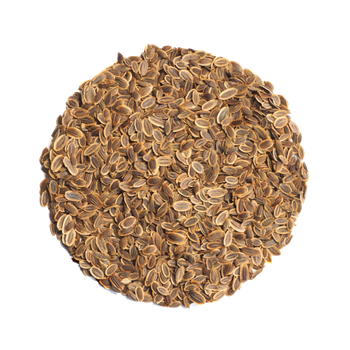 High quality dill seed available in bulk for wholesale supply - afrivett@gmail.com - South Africa