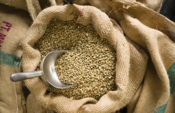 Coffee & Coffee Bean – product photo, Ethiopia Coffee Bean products found from trusted suppliers, wholesalers, manufacturers & exporters Listing