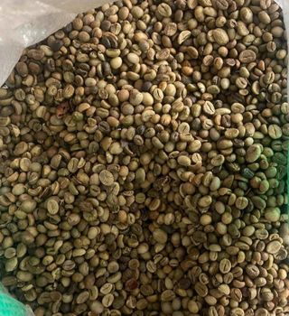 Robusta coffee beans - PT. ZARAYA GLOBAL NUSANTARA - Indonesia