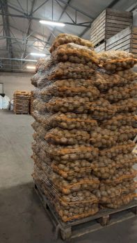 Potato Size 4,5+ Type Soraya Place of Origin Poland Packaging big bag , - Repatec - Poland