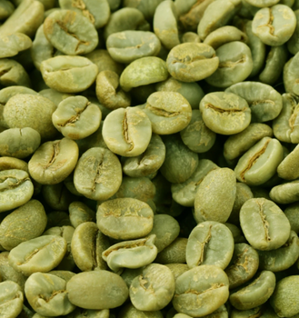 Arabica Plantation A - Green Coffee Beans Origin Asia - NAADRA LLP - India