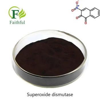 Cosmetic Grade Raw Material Superoxide Dismutase Powder SOD 9054 89 1 98 Quality Superoxide Dismutase Medicine Grade Anti Aging SO - Xi'an Faithful Biological Technology Co.,Ltd. - China