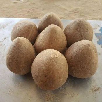 Premium Dry Coconut – product photo, Dry Coconut products found from trusted suppliers, wholesalers, manufacturers & exporters Listing