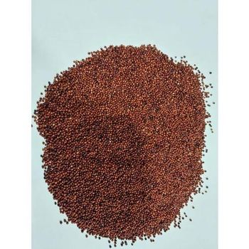 Premium finger millet bulk supply high quality grains export quality - HIGHPROFILE AGRICULTURE SERVICES LIMITED - Tanzania
