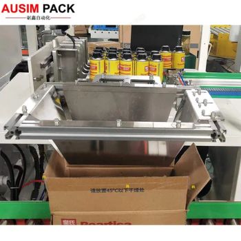 Horizontal Biscuit/Cookies Carton Packing Machine Auto Case Packer, Full Automatic Carton Box Packing Equipment - Ausim Automation Technology (Shanghai) Co., Ltd. - China