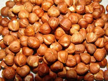 Natural Hazelnuts from Balingi Trading Company (PTY) Ltd Natural Hazelnuts - Balingi Trading Company (PTY) Ltd - South Africa