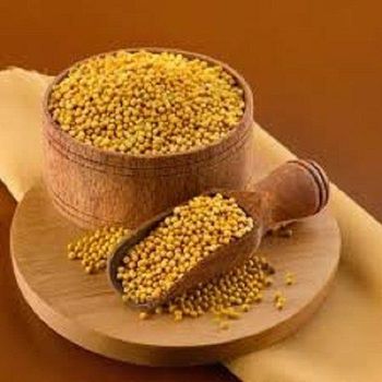 Natural Premium Grade Mustard Seeds Wholesale | Suitable for Oil Pressing, Culinary Use, Seasoning Production, Pickling, and Food Manufacturing with Flexible Packaging and International Shipping - agroturaspzoo - Poland