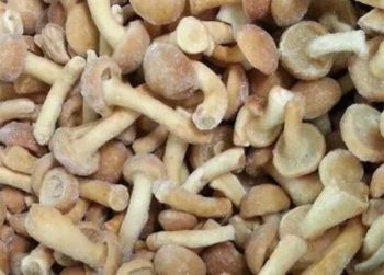 IQF Frozen Nameko Mushroom Brown GradeA SML 10kg15kg Carton 18℃ Storage BRCISOFDAHACCP - Ruiqiu Foods Co., Ltd. - China