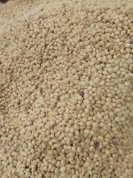 Soya Beans Nutritional Value Excellent Quality Standard High-quality Taste Profile Excellent Taste Freshness Assurance Sourced From Trusted - Cassel Groups - Ghana
