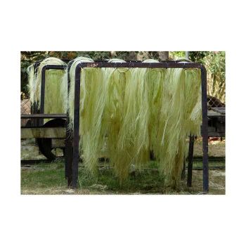 Sisal fiber Eco-friendly sisal fiber Sisal fiber about 90cm Eco-friendly sisal fiber from Koto Global Trade SPRL Sisal fiber Eco-friendly sisal fiber Sisal fiber about 90cm Eco-friendly sisal fiber - Koto Global Trade SPRL - Belgium