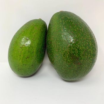 Organic Farm Harvest Fresh Avocado Packed For International Buyers With Quality Control And Fresh Produce Supply - malter group - Tanzania