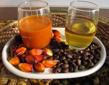 Crude Palm Oil - INTABAZWE AGRISA SA (PTY) LTD - South Africa