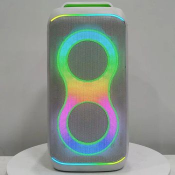 High Quality Double 8 Inch Party Box Speakers with Wireless Microphone - Guangzhou Shuanglong Audio Co., Ltd. - China