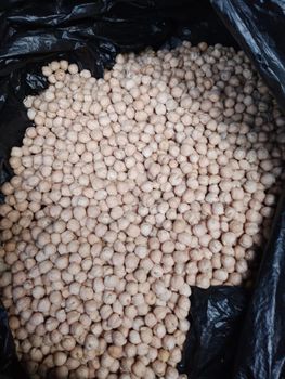 Chickpeas/Green Lentils, Red Lentils, Oats, Oat Flakes, Safflower, Hulled Oats, Yellow Peas, Barley, Coriander - Parnoun Tejarat Co.Ltd - Iran