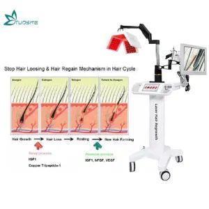Professional Anti Hair Loss Treatment Diode Laser Hair Regrowth Machine - Hebei Tuosite Import & Export Trade Co., Ltd. - China