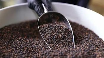 black pepper – product photo, Refined Black Pepper products found from trusted suppliers, wholesalers, manufacturers & exporters Listing