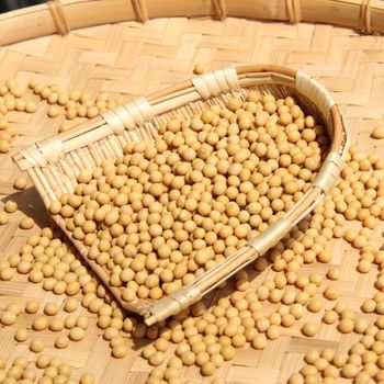 Non Gmo Soybean Features Organic Origin South Africa Packaging Size 25KG Degree of Processing Dried -  JAC SEEDS & OIL TRADING (PTY) LTD - South Africa